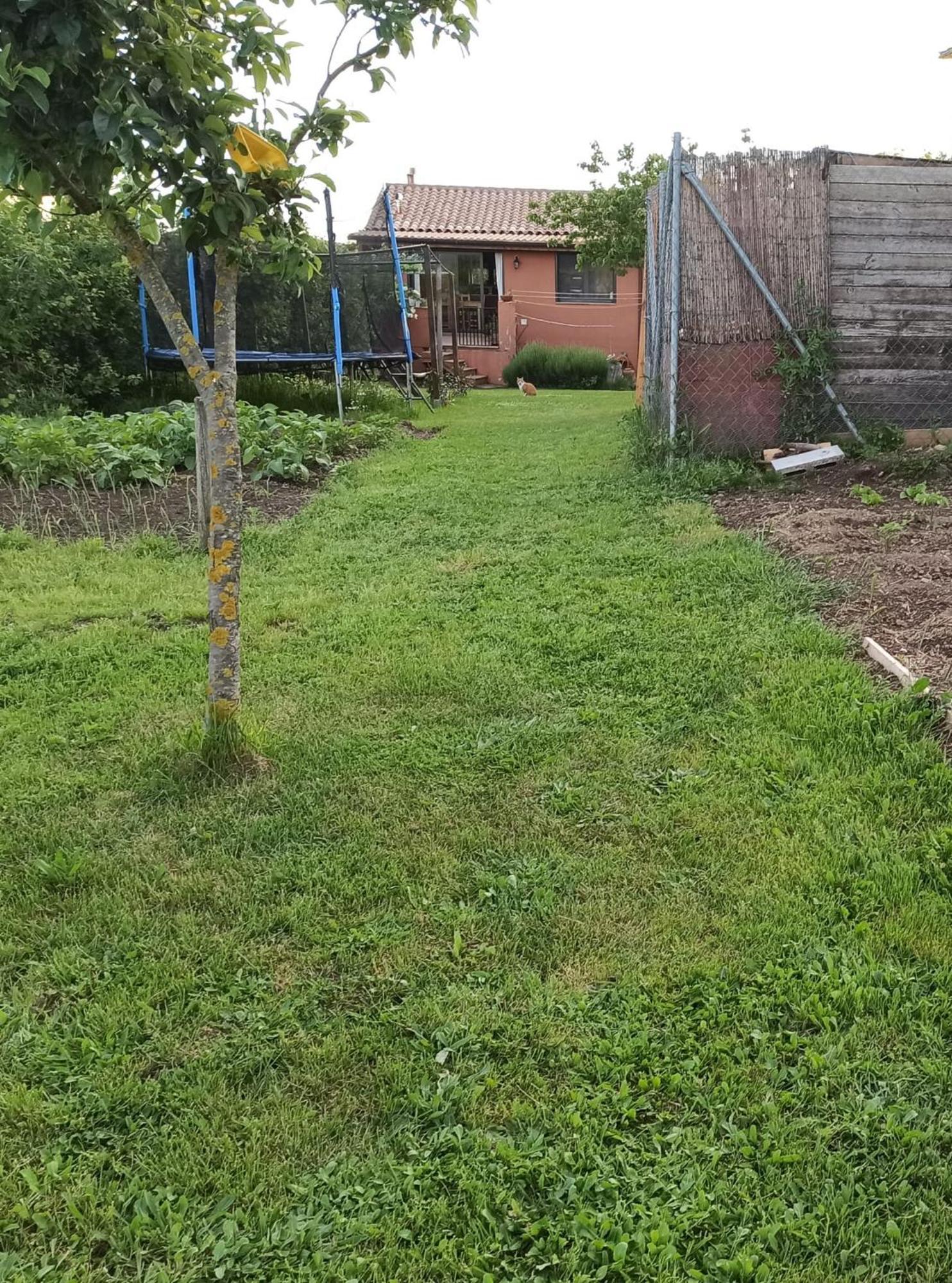 Alojamiento Compartido Cantroncxic San Pedro de Torelló Zewnętrze zdjęcie
